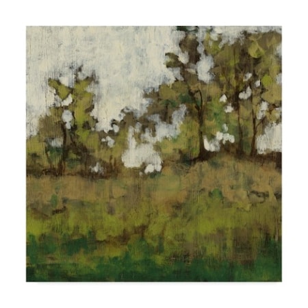 Jennifer Goldberger 'Meadow Lands I' Canvas Art,24x24